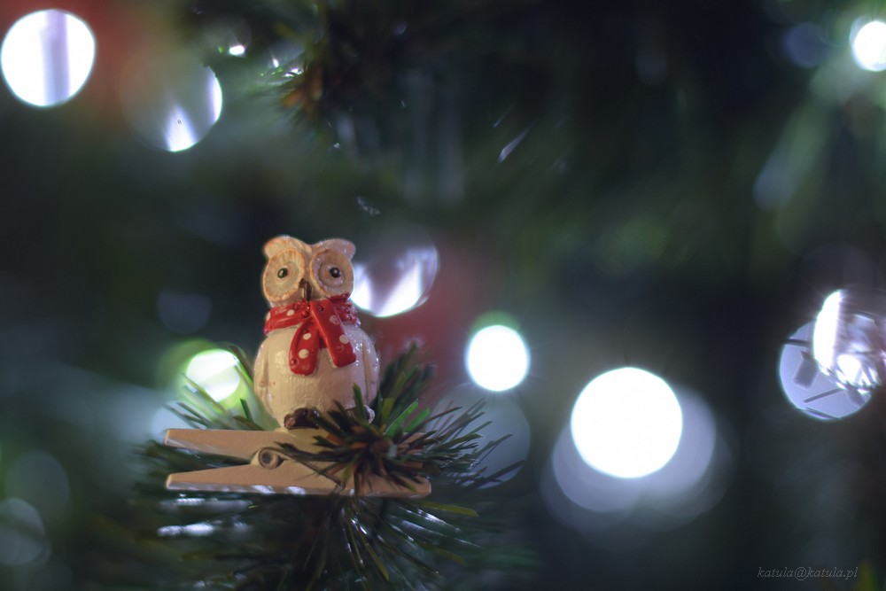 Fotopracownia radzi – fotografujemy choinki i świąteczne oświetlenie